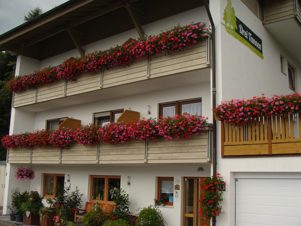 Drei Tannen Hotel Bodenmais Eksteriør billede